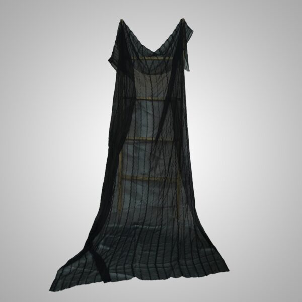 Sheer Black Striped Dupatta